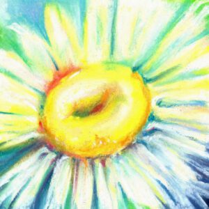 Single daisy