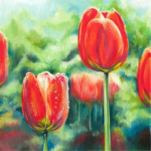 Tulips