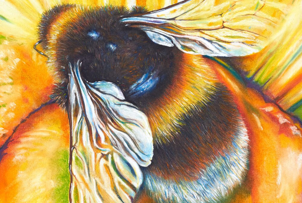 Gathered Threads Exhibition – Pollinator Power