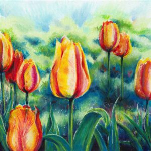 Yellow and red tulips